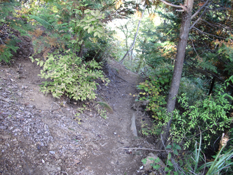 20161104hike (249)